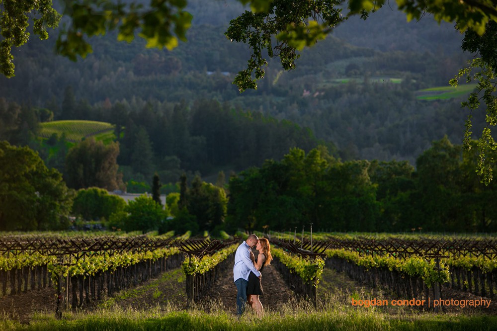 Napa valley engagement photo