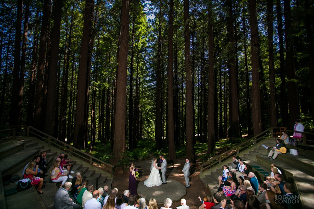 wedding at mather redwood grove in berkeley