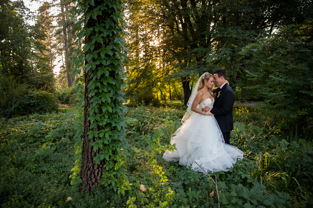 Jaclyn and Gary - Whimsical Wedding in the Forest - Bogdan Condor Photography